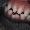 20180610_190352