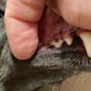 IMG_2694.jpeg