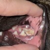IMG_0215.jpeg